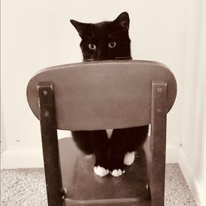 Meet your Posher, Vincent